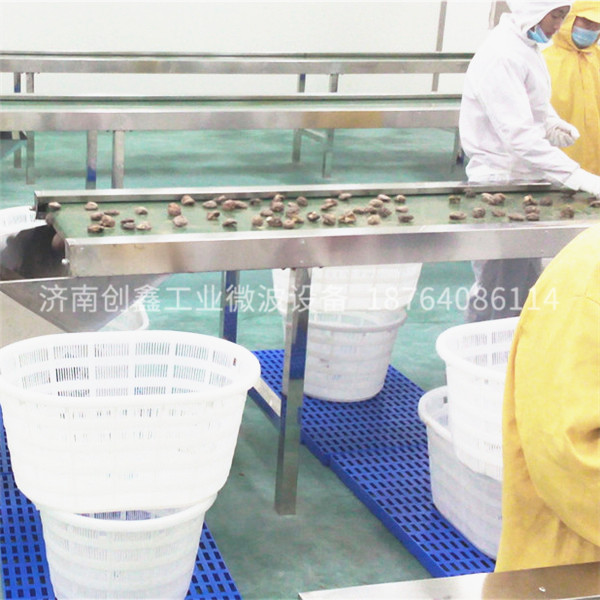 杏鲍菇干燥设备/食用菌微波烘干杀菌机/香菇微波熟化设备